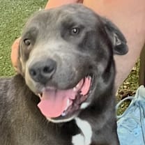 Thumbnail photo of Mulligan #4