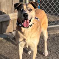 Thumbnail photo of Katara #1