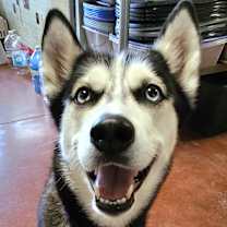 Thumbnail photo of Emma #1