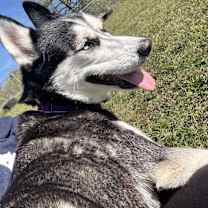 Thumbnail photo of Emma #2