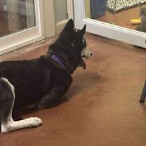 Thumbnail photo of Emma #4