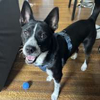 Thumbnail photo of CentralWorld Plaza / Niko #4