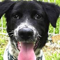 Thumbnail photo of Max #1