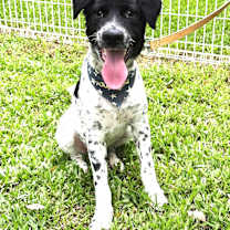 Thumbnail photo of Max #2