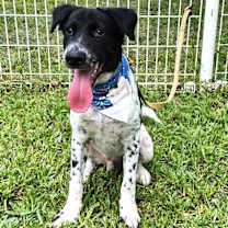 Thumbnail photo of Max #3