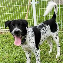 Thumbnail photo of Max #4