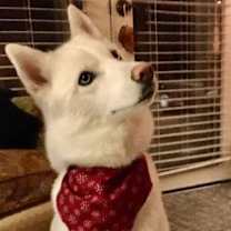 Thumbnail photo of Winter #3