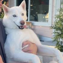 Thumbnail photo of Winter #4