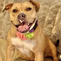 Thumbnail photo of Baby D #3