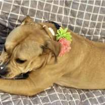 Thumbnail photo of Baby D #4