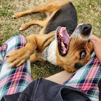 Thumbnail photo of Chalupa #3