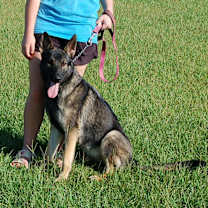 Thumbnail photo of Shannon #2