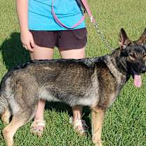 Thumbnail photo of Shannon #3