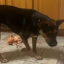 Thumbnail photo of Lilah #3