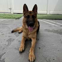 Thumbnail photo of Mookie #2