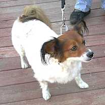 Thumbnail photo of MAX #2