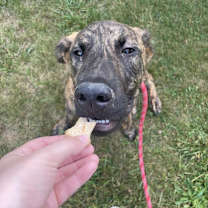 Thumbnail photo of Banzai #2