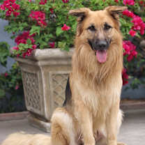 Thumbnail photo of Kilo von Marburg #2