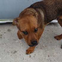 Thumbnail photo of Warren #2