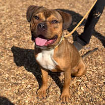 Thumbnail photo of Cowboy  #4