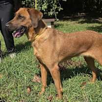 Thumbnail photo of Mollie #2