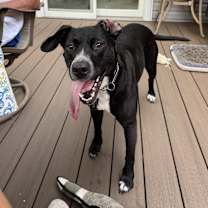 Thumbnail photo of Lady #4