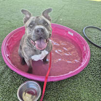 Thumbnail photo of ZEUS #2