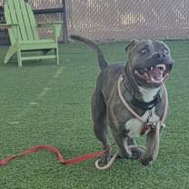 Thumbnail photo of ZEUS #3