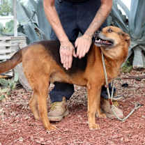 Thumbnail photo of Twix JuM/AG #2