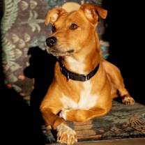 Thumbnail photo of Max #2