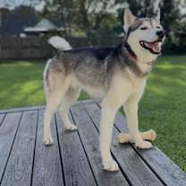 Thumbnail photo of Legend #3