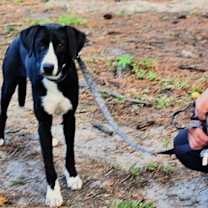 Thumbnail photo of Doug #1