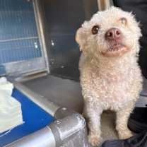 Thumbnail photo of *ZEKE #1