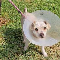 Thumbnail photo of *ZEKE #2