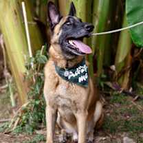 Thumbnail photo of Chepo #4