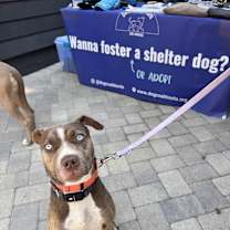 Thumbnail photo of Hazel #3