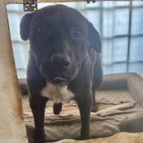 Thumbnail photo of Sister Sadie #3