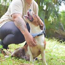 Thumbnail photo of Westley #3