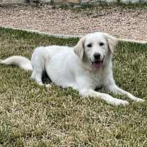 Thumbnail photo of Polly Pocket ATX #1