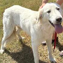 Thumbnail photo of Polly Pocket ATX #2