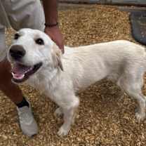 Thumbnail photo of Polly Pocket ATX #3