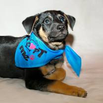 Thumbnail photo of Lover Boy #4