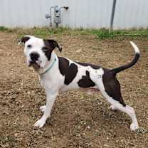 Thumbnail photo of King Zeus #1