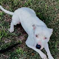 Thumbnail photo of Saint #2