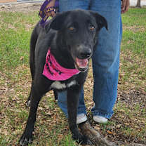 Thumbnail photo of Kelly JuM/PF #4