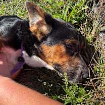 Thumbnail photo of Skeeter #4