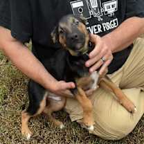 Thumbnail photo of Murray #1