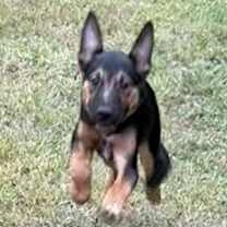 Thumbnail photo of Murray #2