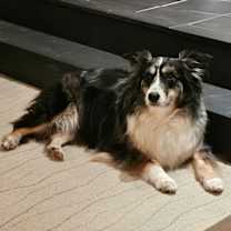 Thumbnail photo of Paprika   in PA! #3