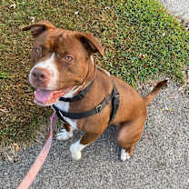 Thumbnail photo of Jortek #4